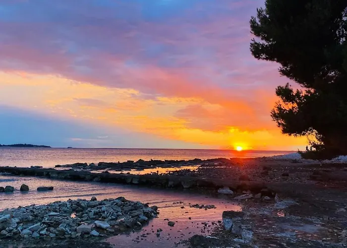 Nina By Guide * 페로이